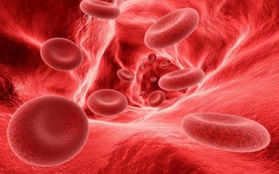 5 thực phẩm giúp làm loãng máu tự nhiên