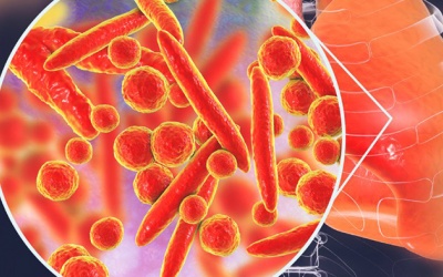 Mycoplasma - không hẳn là vi khuẩn vô hại