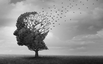 6 yếu tố hàng đầu có thể làm tăng nguy cơ mất trí nhớ