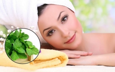 5 công thức làm đẹp và chăm sóc da hiệu quả với bạc hà