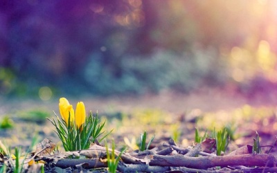 Bắc Bộ và Trung Bộ giảm mưa, trời nắng ráo