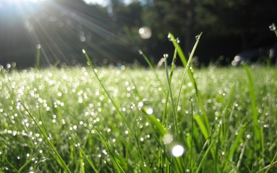 Bắc Bộ giảm mưa, trời hửng nắng nhẹ