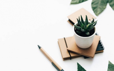 Tử vi thứ Ba (7/8/2018): Ma Kết nên cố giữ bình tĩnh, tập trung vào công việc