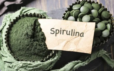 Tảo Spirulina có tác dụng gì mà nhiều người ưa thích đến thế?