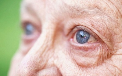 Viagra có thể giúp điều trị thoái hóa điểm vàng?