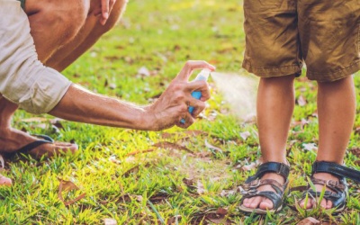 DEET là gì và những điều cần biết về hợp chất chống muỗi này?