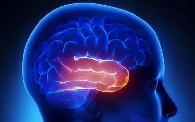 Tìm thấy virus Herpes trong não người bị rối loạn lưỡng cực, trầm cảm