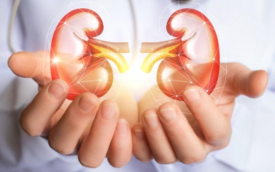 Bổ sung vitamin B3 - hy vọng mới trong điều trị tổn thương thận cấp tính