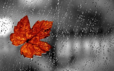 Bắc Bộ và Nam Bộ có mưa bất chợt trong ngày