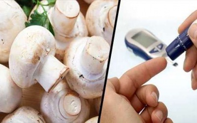 Mắc bệnh đái tháo đường? Hãy ăn nấm mỡ!
