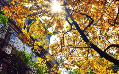 Bắc Bộ oi nóng vào trưa và chiều