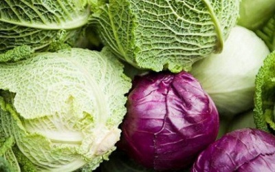 4 lợi ích sức khỏe của cải bắp không phải ai cũng biết