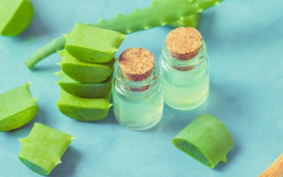 Không chỉ dạng gel, tinh dầu nha đam cũng rất có lợi cho sức khỏe!