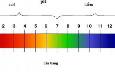 Dùng nước có độ pH cao có an toàn? 