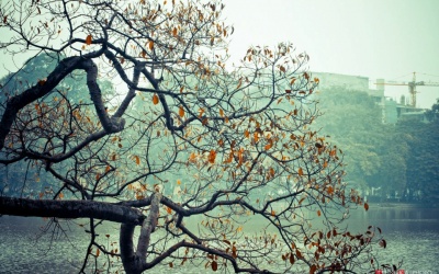 Bắc Bộ se lạnh từ ngày 7/9 