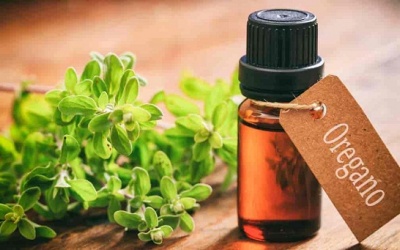 9 tác dụng phụ của tinh dầu oregano