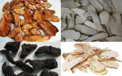 Top 3 bài thuốc Đông y có tác dụng bổ khí huyết cho phụ nữ hiệu quả nhất