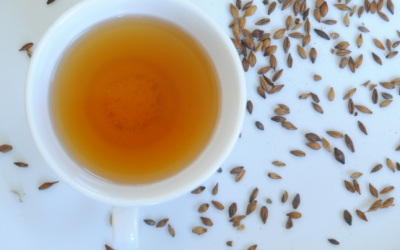 Uống trà lúa mạch: Thải độc, chống ung thư và nhiều lợi ích khác