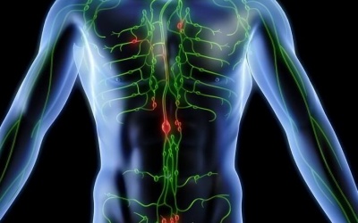 5 loại trà nên uống để làm sạch hệ bạch huyết