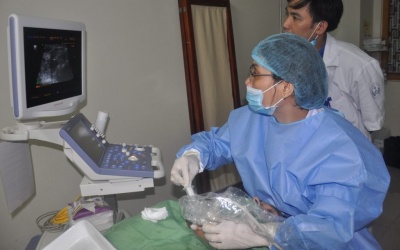 Gia tăng bệnh nhân mắc u tuyến giáp: 9 tháng tiếp nhận 400 ca