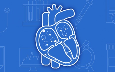 Có thể điều trị triệt để rung nhĩ hay không?