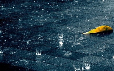 Bắc Bộ mưa đến chiều mai