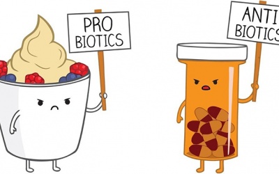 Probiotic có thể giúp chống lại kháng thuốc kháng sinh