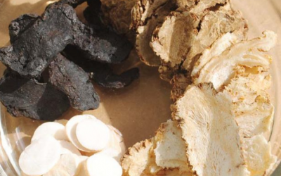 Bài thuốc Tứ vật thang giúp bổ khí huyết, lấy lại sức sống cho phụ nữ