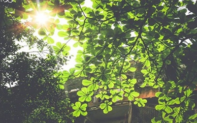 Bắc Bộ nắng ráo trong 4 - 5 ngày tới