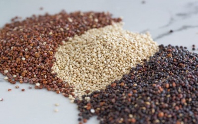 Vì sao bạn nên ăn quinoa?