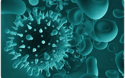 Virus hợp bào hô hấp RSV là gì, có nguy hiểm không?