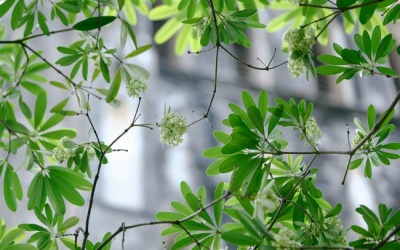 Bắc Bộ tiếp tục mưa dông, thời tiết se lạnh