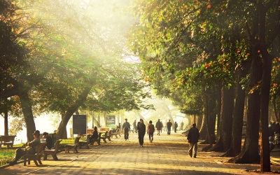 Bắc Bộ hửng nắng, Trung Bộ mưa dông diện rộng