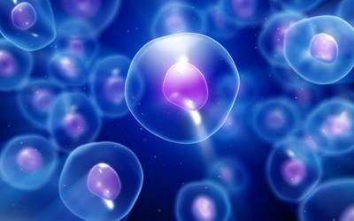 Thử nghiệm điều trị Parkinson bằng các tế bào gốc tái lập trình