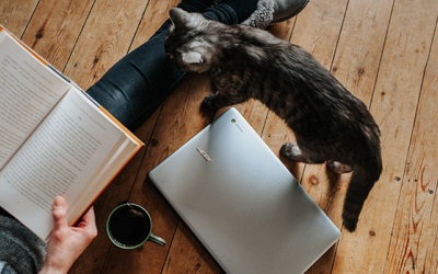 Tử vi thứ Ba (2/10/2018): Nhân Mã, hãy tận hưởng ngày nghỉ bất ngờ của mình