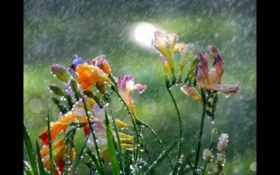 Các tỉnh Trung Bộ tiếp tục có mưa lớn