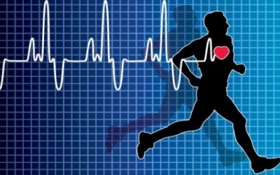 4 bài tập thể dục giúp trái tim khỏe mạnh hơn