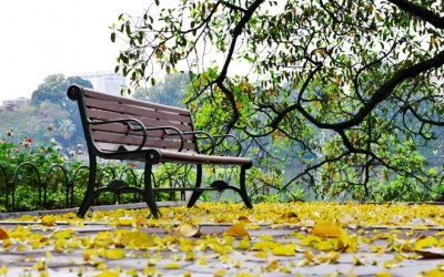 Bắc Bộ không mưa, trời nắng hanh