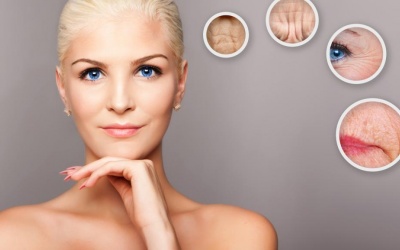 Quá trình lão hóa da diễn ra như thế nào?