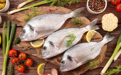 Hải sản tốt cho sức khỏe thế nào?