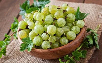 Cách dùng quả lý gai kiểm soát đường huyết cho người bệnh đái tháo đường