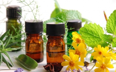 GS 'biết tuốt' Nguyễn Lân Dũng: Có thể dùng hương liệu để chữa bệnh (kỳ 1)