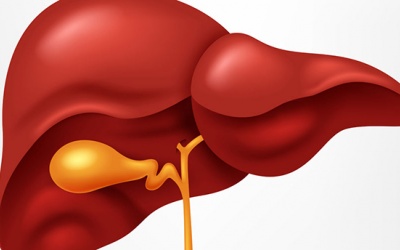 Vai trò của muối mật trong cơ thể là gì?