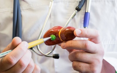 5 sự thật có thể bạn chưa biết về túi mật