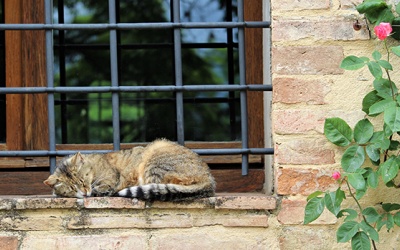 Tử vi Chủ nhật (14/10/2018): Bọ Cạp thực sự cần được nghỉ ngơi trong ngày hôm nay