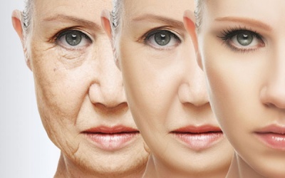 Ăn gì để không lo bị lão hóa da?