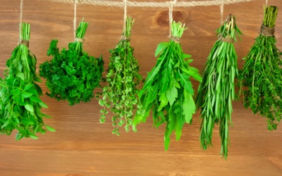 Kỳ IV: Lối sống lành mạnh: Liệu pháp thải độc, tiêu độc