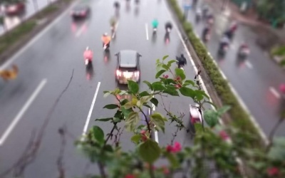 Không khí lạnh tăng cường, Bắc Bộ mưa lạnh trở lại