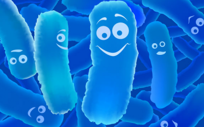 Vai trò của hệ sinh thái đường ruột với sức khỏe