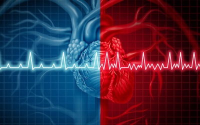 Rung nhĩ là gì và những ai có nguy cơ cao mắc bệnh rung nhĩ?